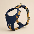 Walk This Way no-pull dog harness with reflective stitching